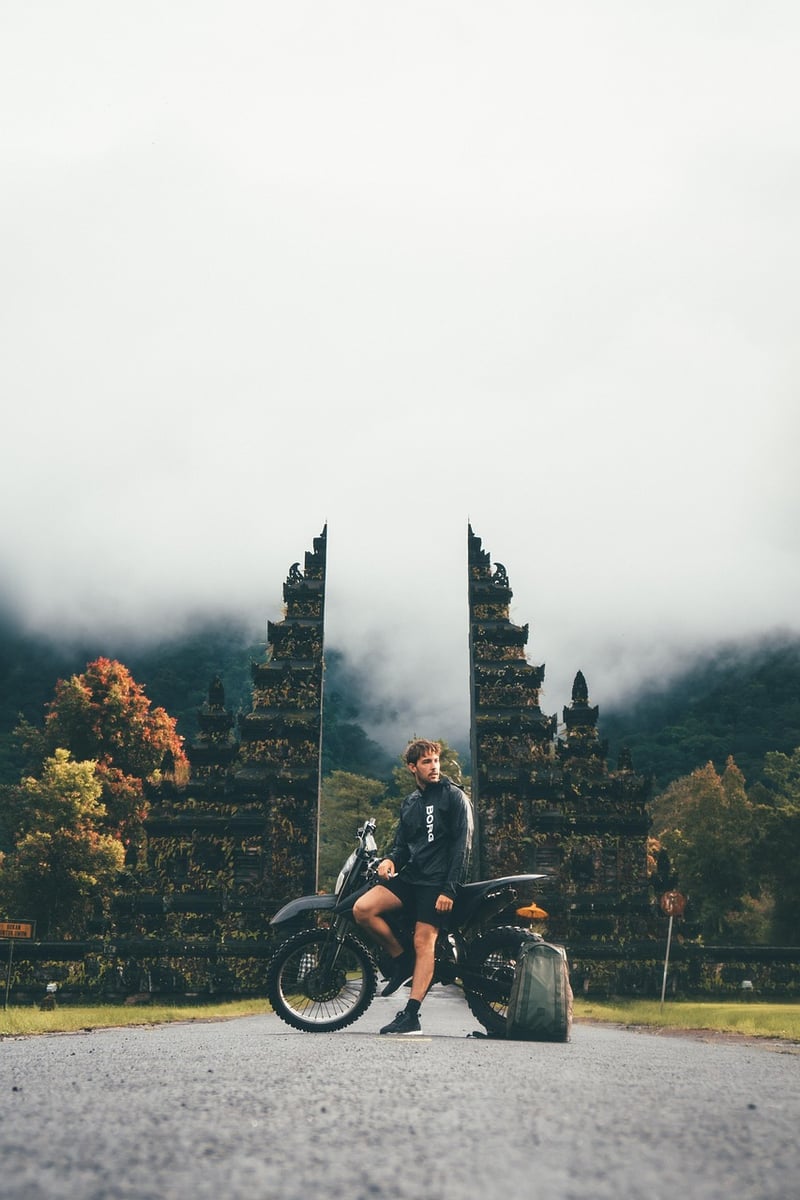 Jungle Journeys